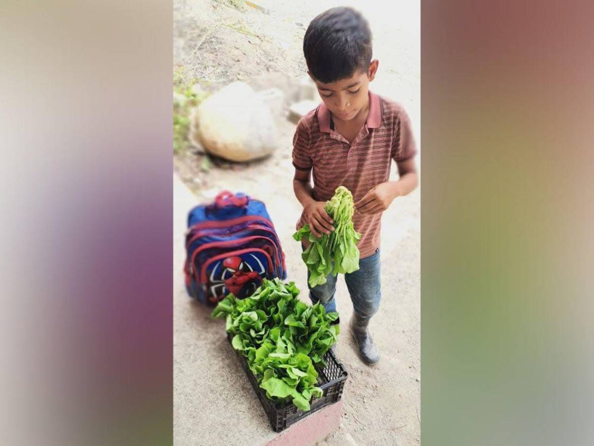 El triste final de Elmer Misael: el niño vendedor de mostaza que murió en Gualala