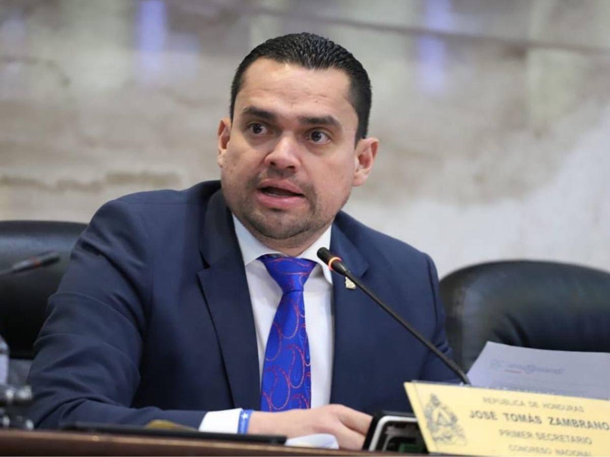 Los diputados veteranos que repiten en el Congreso Nacional 2026-2030