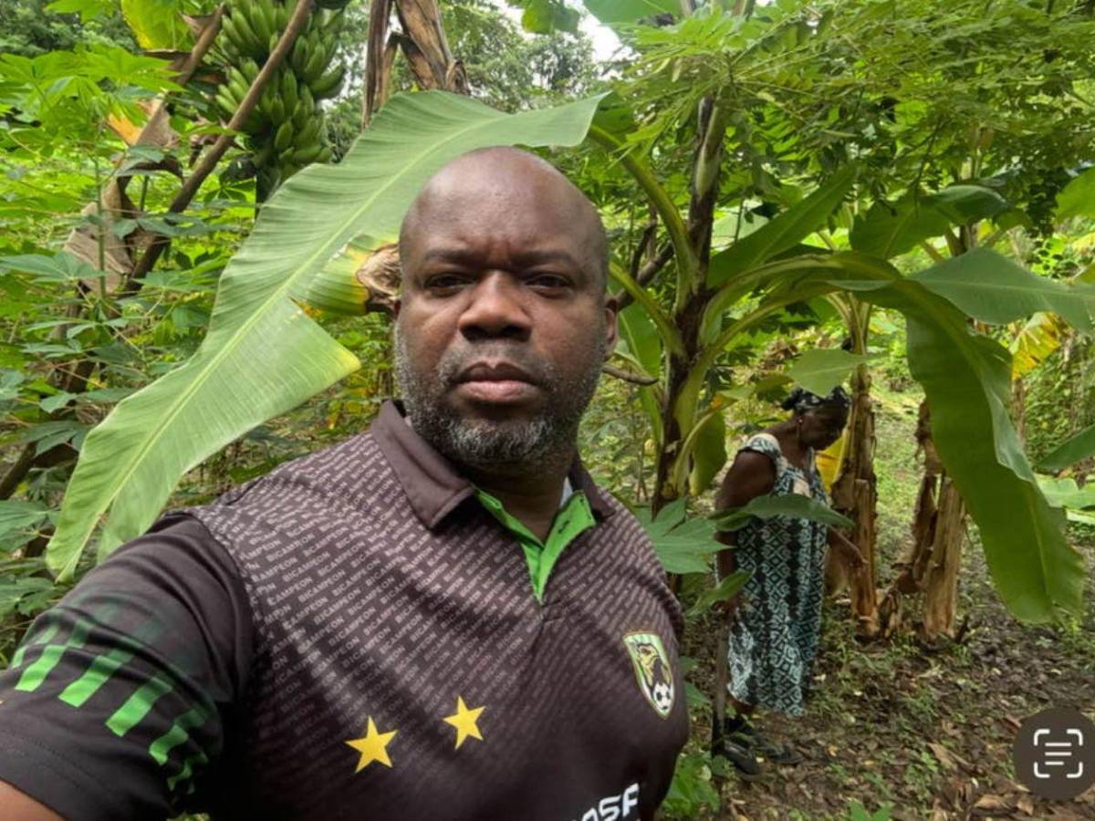 ¿Cómo logran Godofredo y Contreras entrar al Congreso Nacional con menos votos?