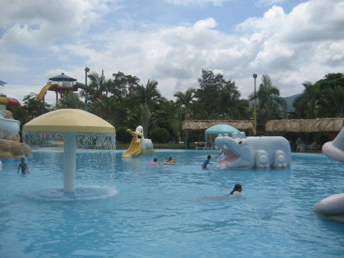 ¿Qué fue de Wonderland?