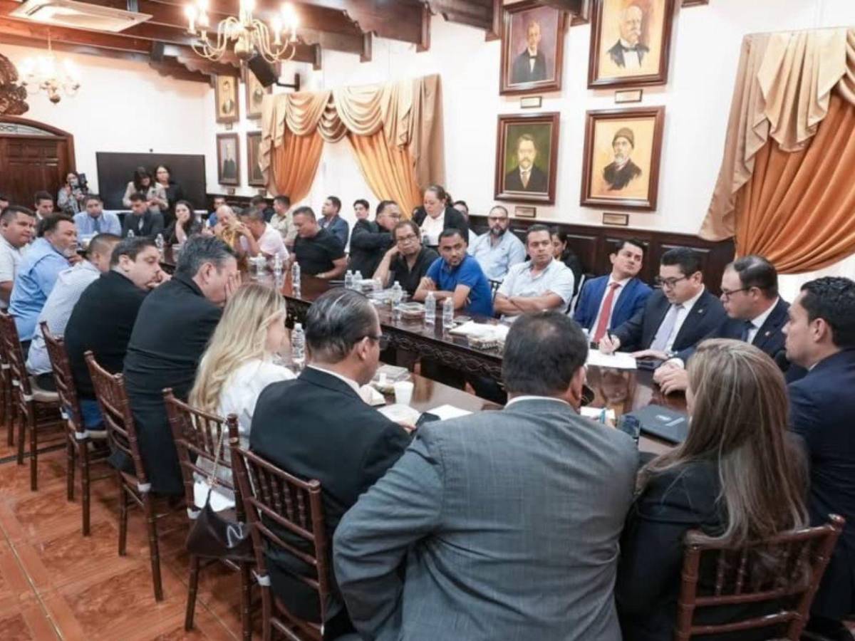 Taxis VIP y de plataformas como Uber: 15 claves sobre el conflicto y los acuerdos