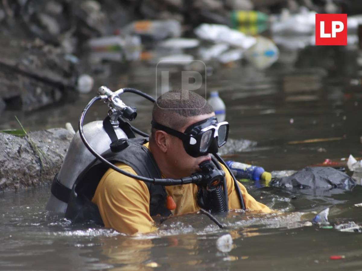 Odín y Max, los dos caninos que se suman a la búsqueda de Elvis Eliú