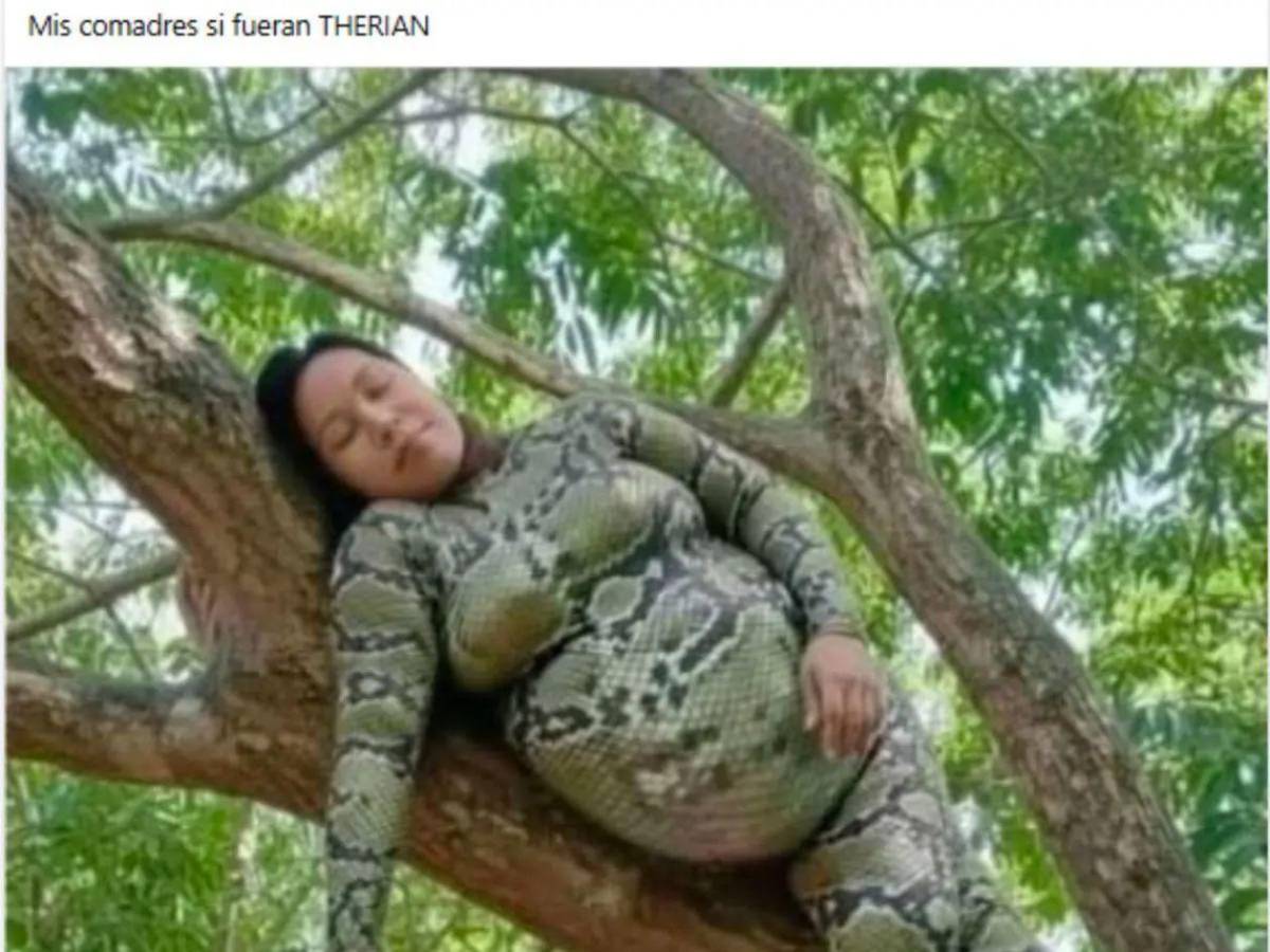 Modo animal activado: los memes más divertidos de los therians