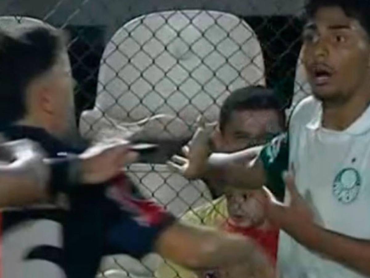 ¿Palmeiras en Concacaf? Presidenta amenaza con dejar Conmebol