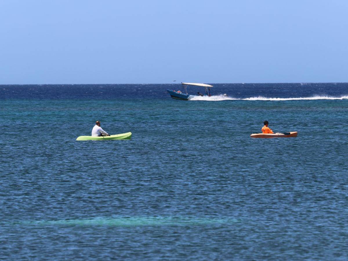 Roatán, la isla hondureña que nunca duerme por su vibrante vida nocturna y turismo
