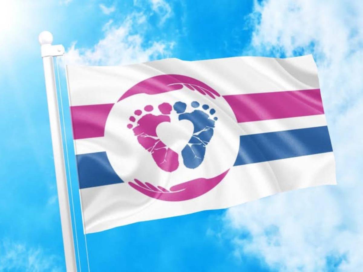 ¿Por qué hay una bandera blanca en el Congreso? Tomás Zambrano explica