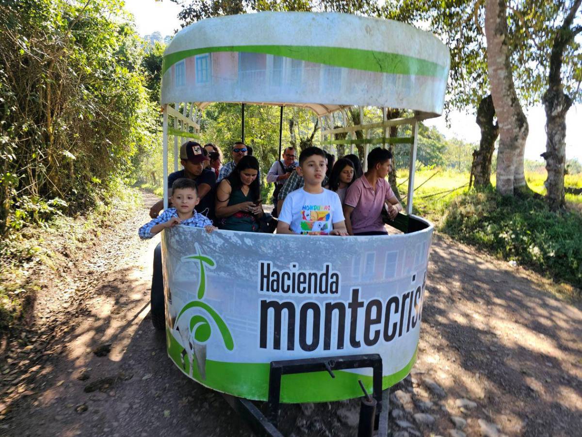 Entre aventuras, café y guacamayas, descubre el occidente de Honduras esta Semana Santa
