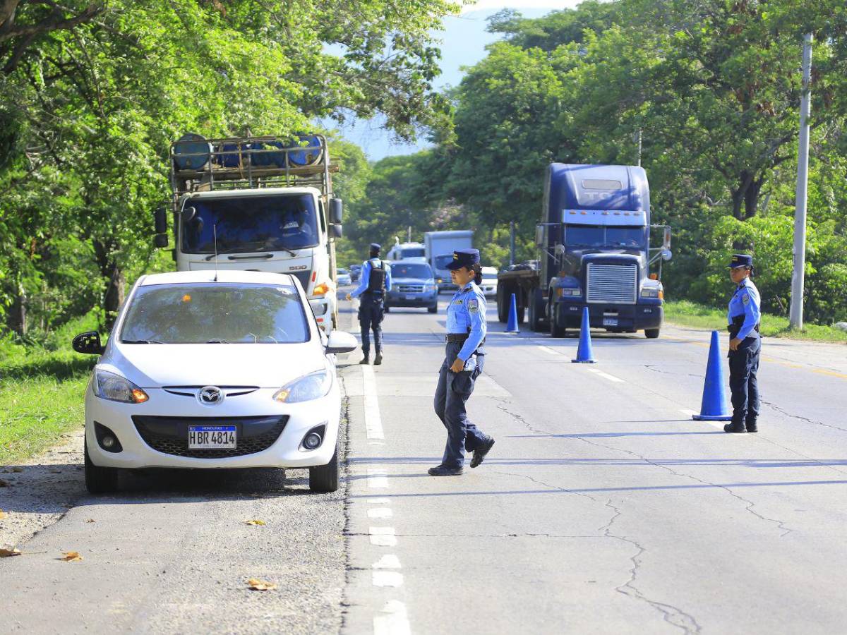 ¿Cuáles son los pasos para renovar la licencia de conducir?