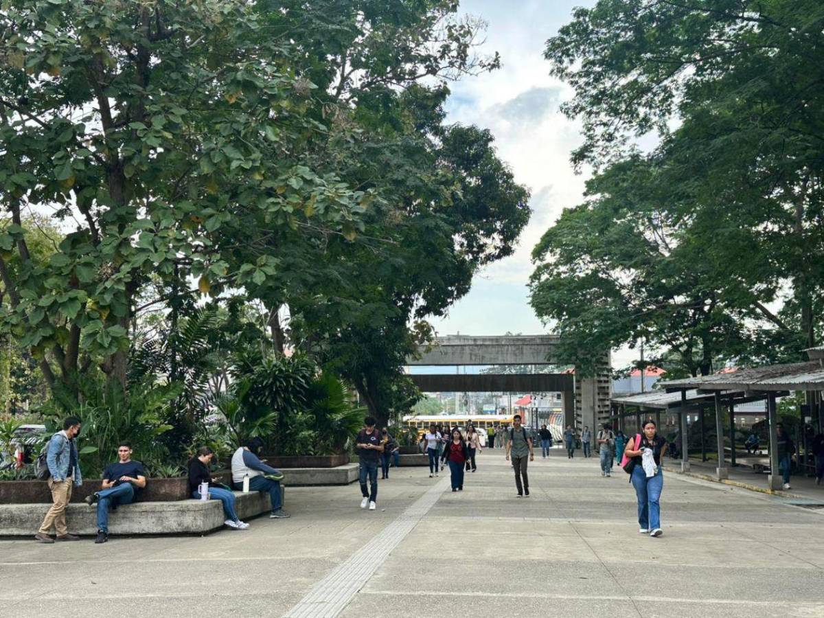 Anuncian cambios temporales en el acceso vehicular a la Unah-Cortés