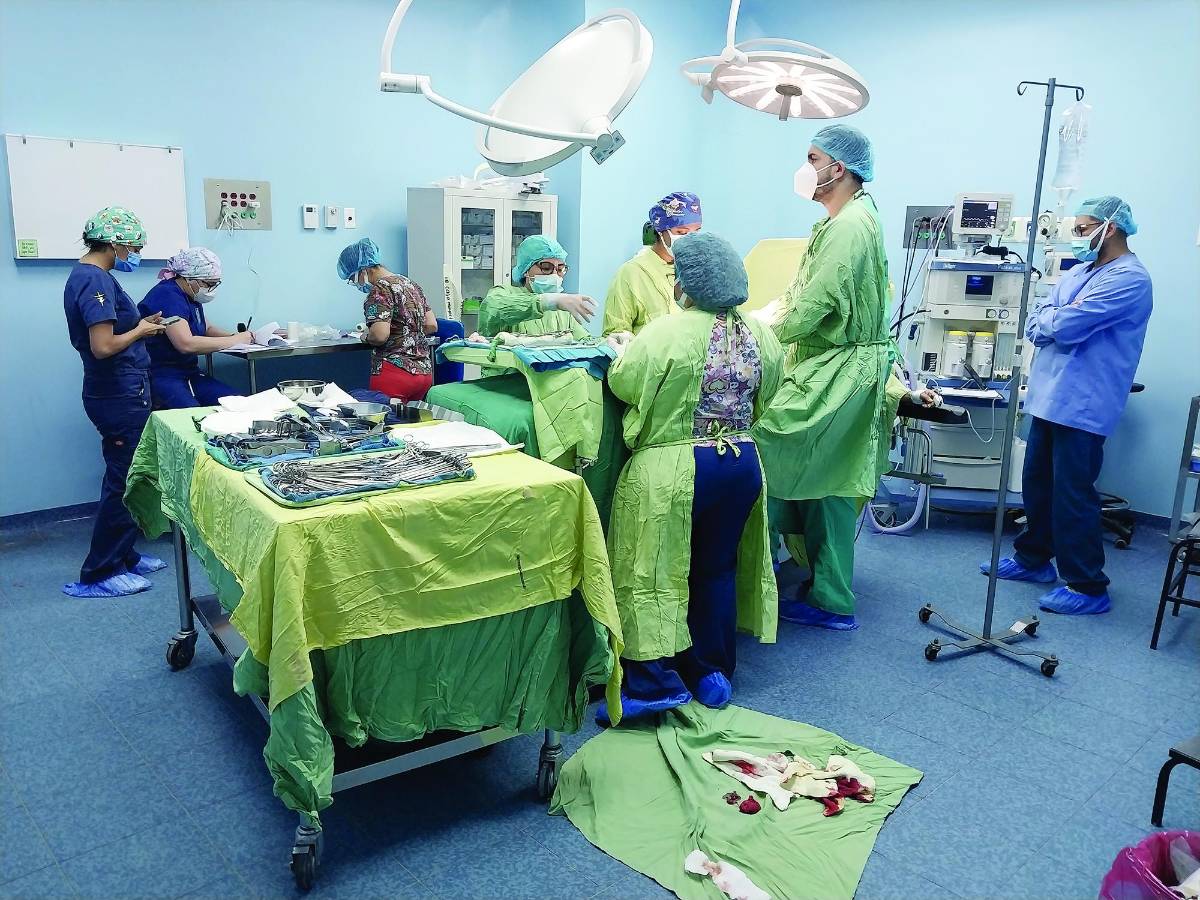 Gestionan millonarios proyectos para Hospital Leonardo Martínez