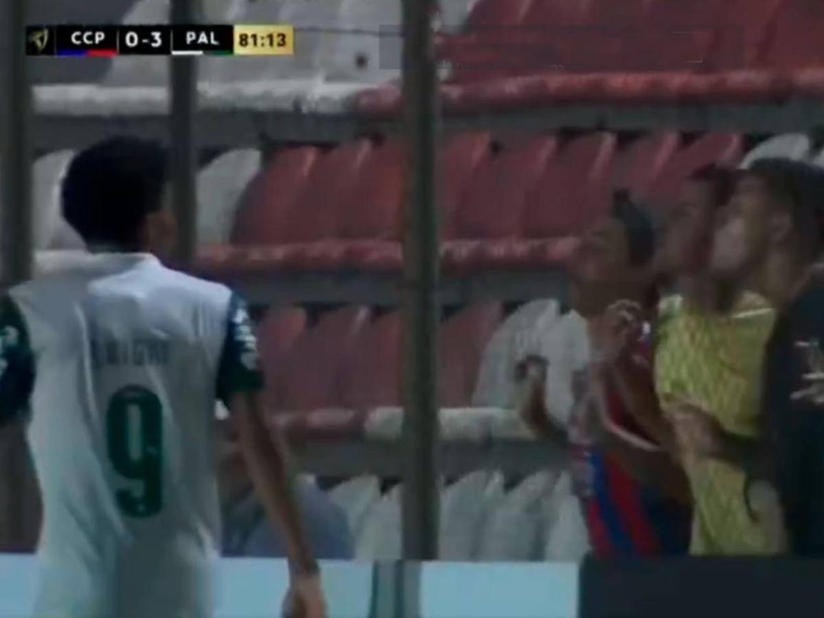 ¿Palmeiras en Concacaf? Presidenta amenaza con dejar Conmebol