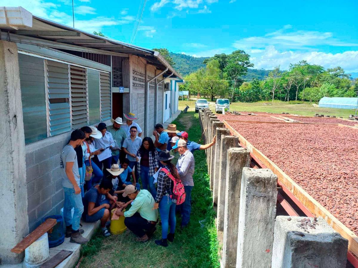 La Ceiba: Diputados buscan salvar al Curla