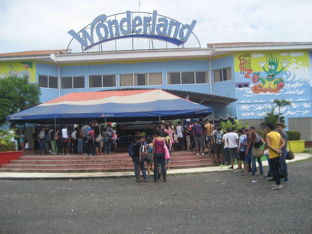 ¿Qué fue de Wonderland?