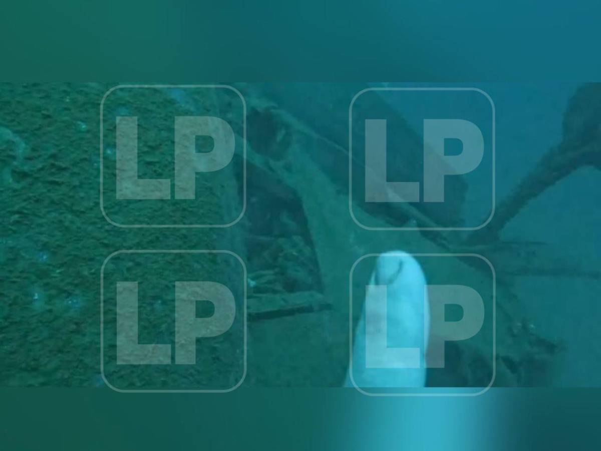 Exclusiva: El avión de Lanhsa bajo el mar tras el accidente en Roatán