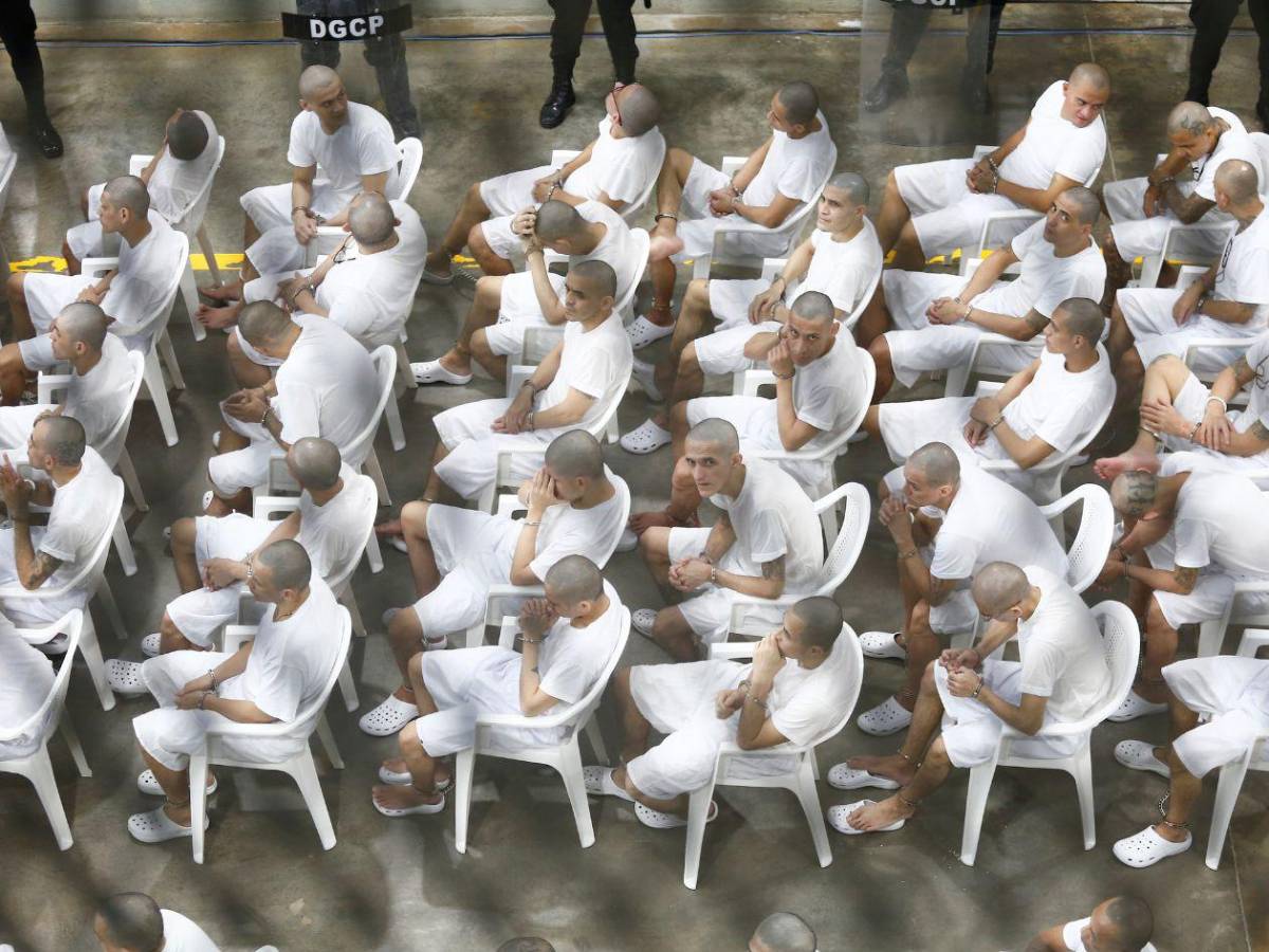 Inédito megajuicio contra más de 400 presuntos pandilleros