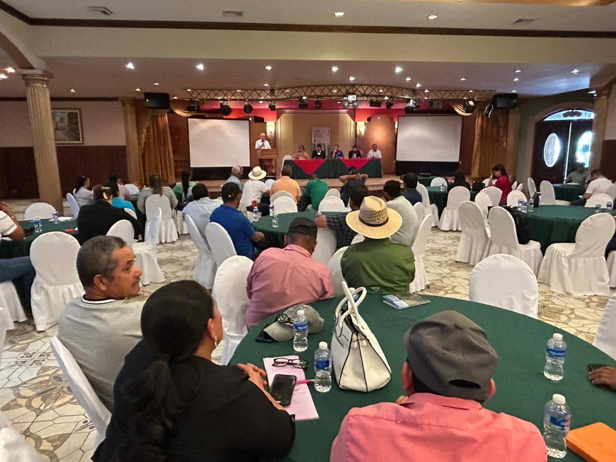 Reuniones con Consucoop y de sectores de café que han sido atendidos por Banadesa.
