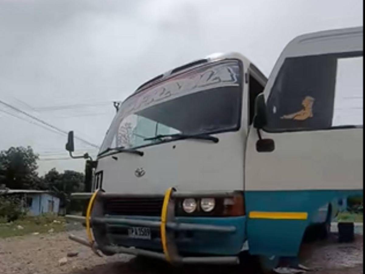 ¿Quién es el busero que fue multado por hacer live en Tiktok mientras llevaba pasajeros?