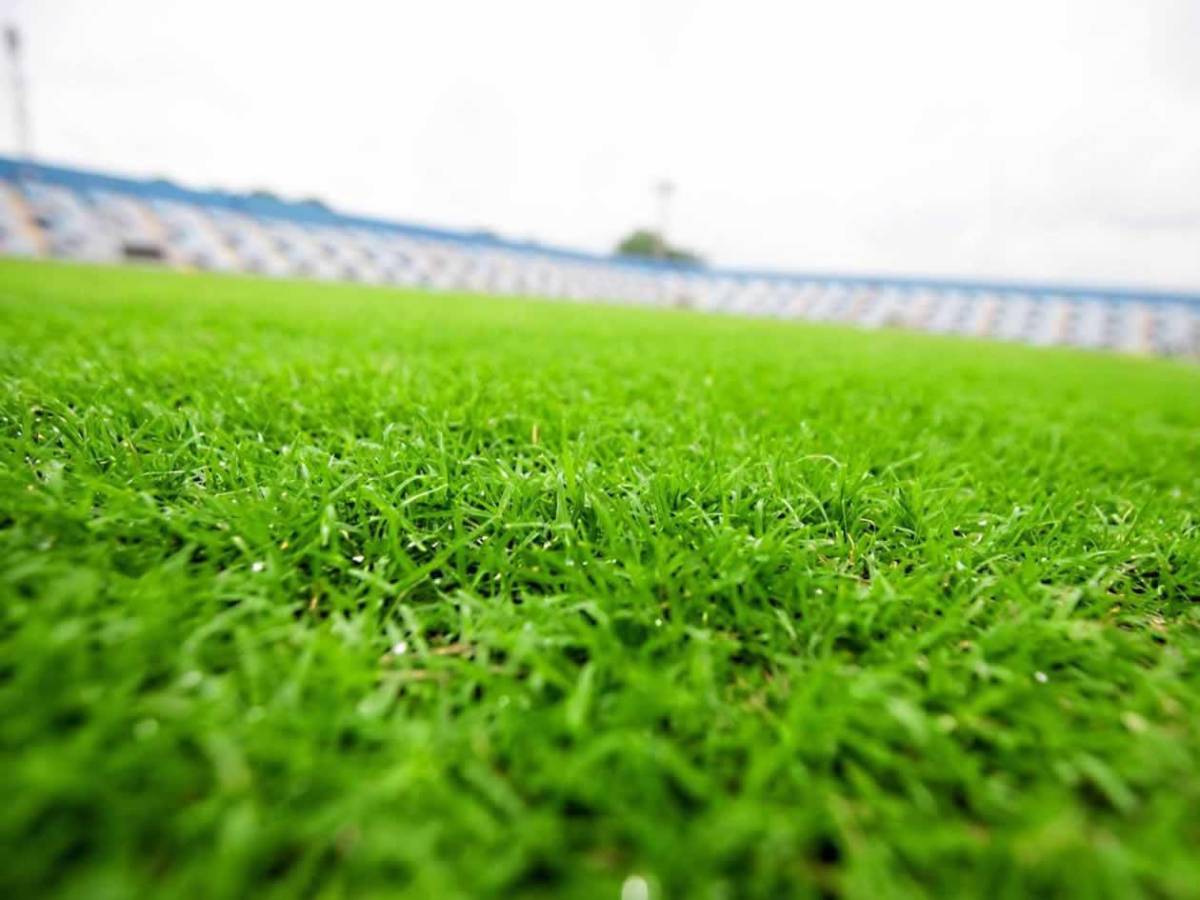 El único en Honduras: el detalle que tendrá el estadio Ceibeño y así luce la remodelación