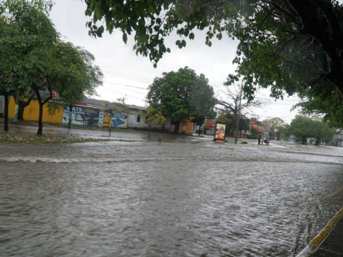 ¿Cuántos sampedranos están expuestos a riesgos por desastres naturales?