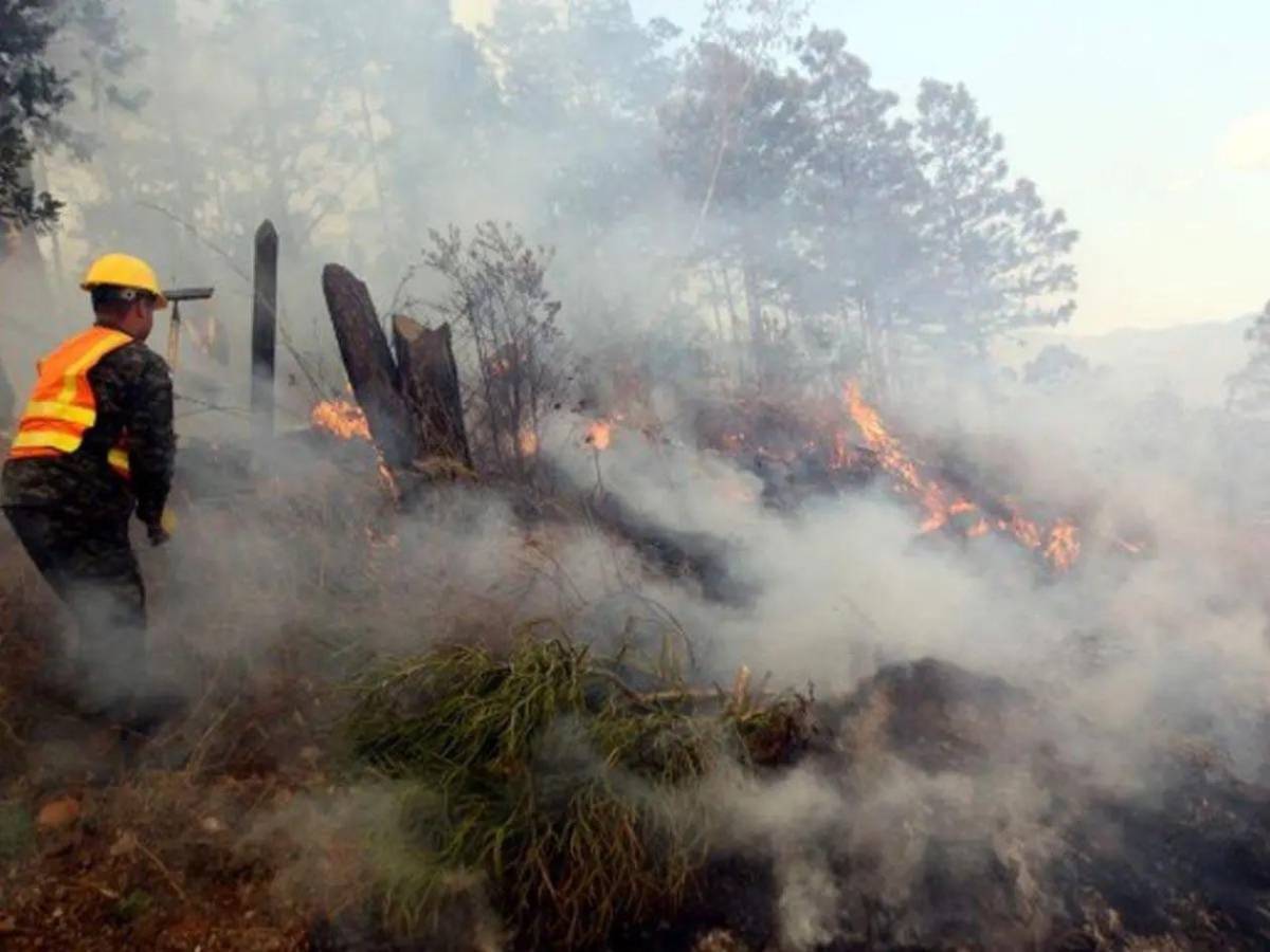 Crisis ambiental: más de 120 incendios afectan a Honduras en lo que va de 2026