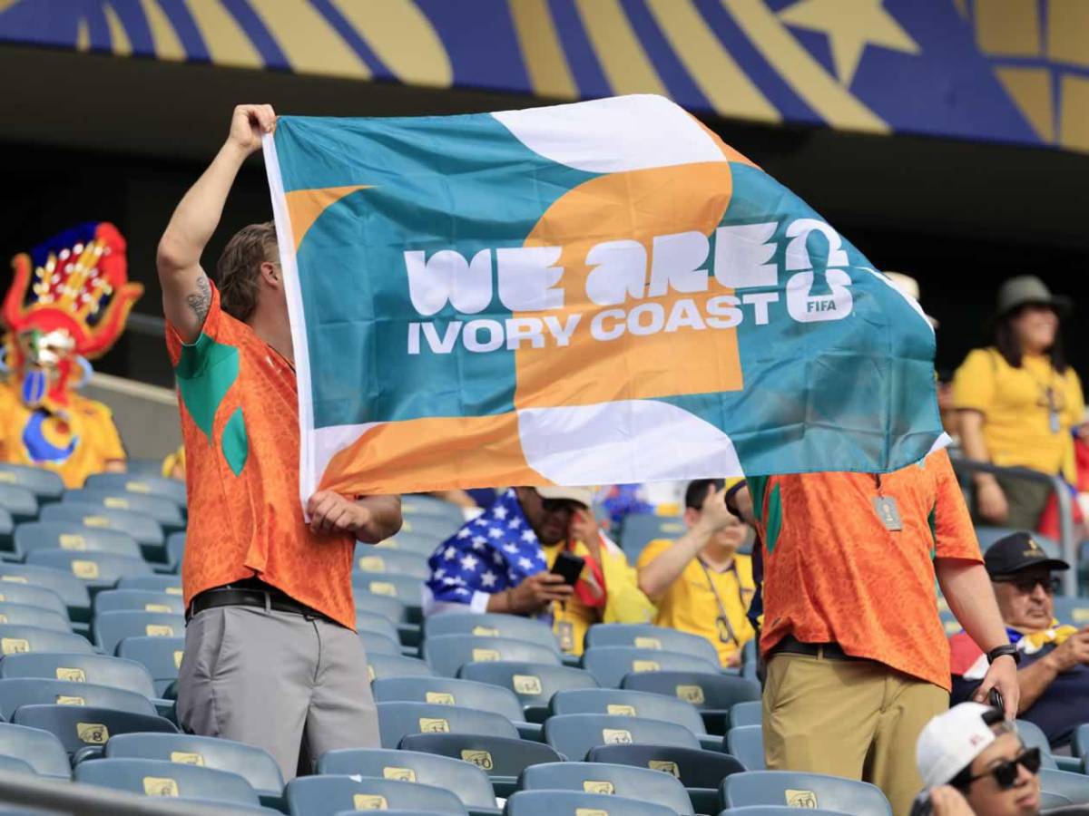 Héroe de Costa de Marfil, tristeza de Ecuador y afición, de la fiesta al drama en el Mundial