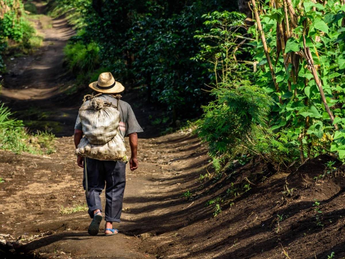 Curiosidades de la Independencia de Centroamérica