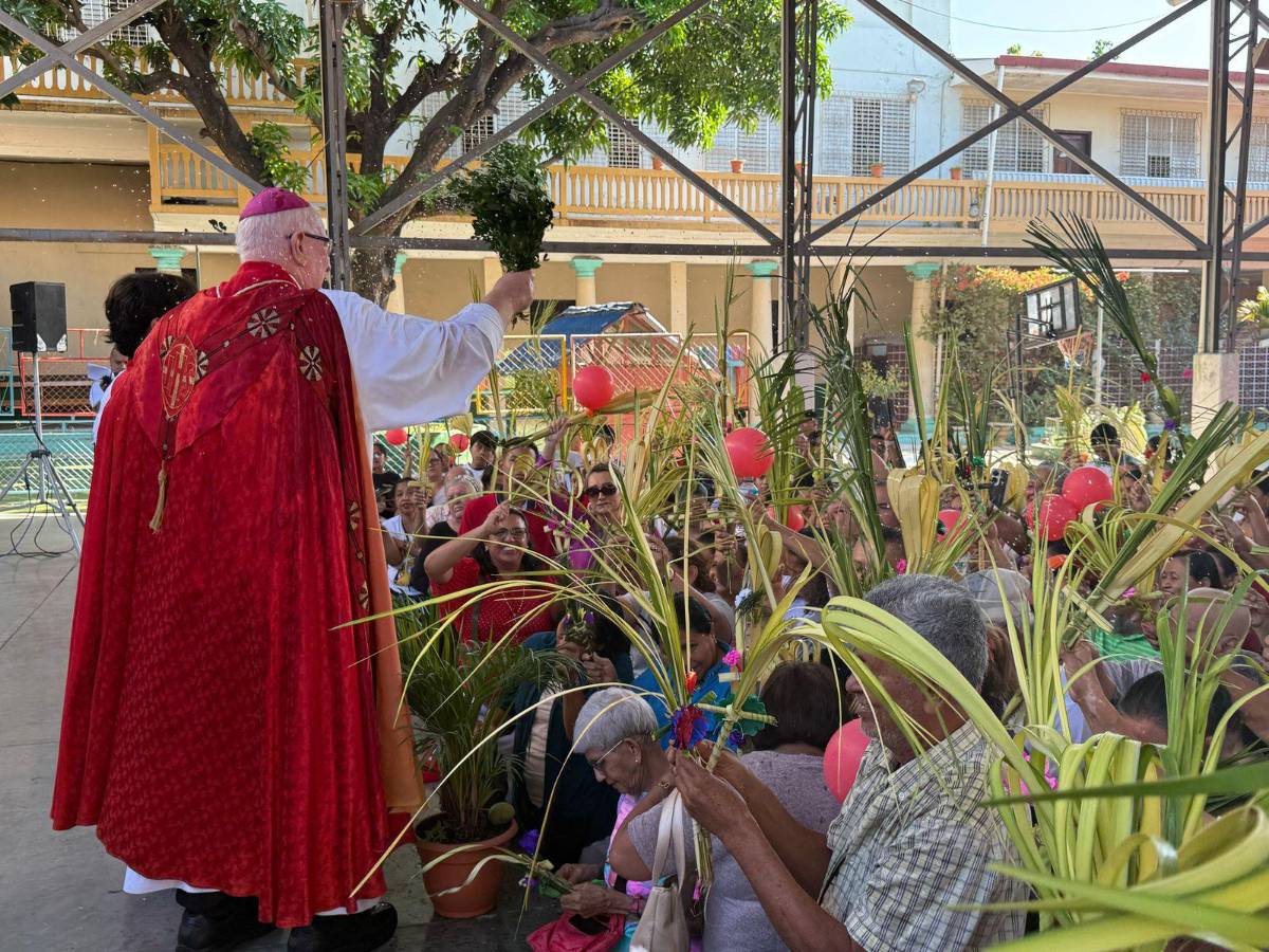 Así se vivió la tradicional procesión del Domingo de Ramos en SPS
