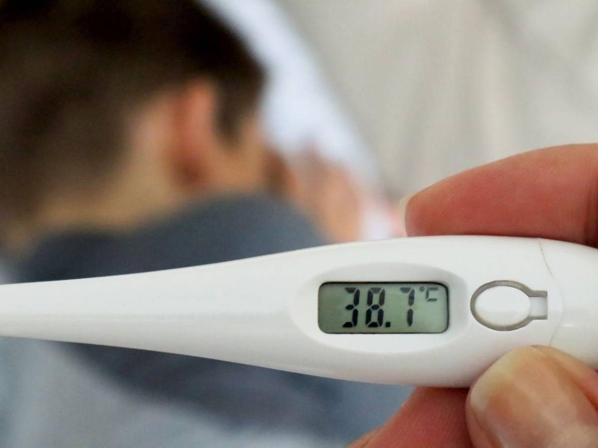Hantavirus: aíslan a niños franceses tras contacto con un infectado