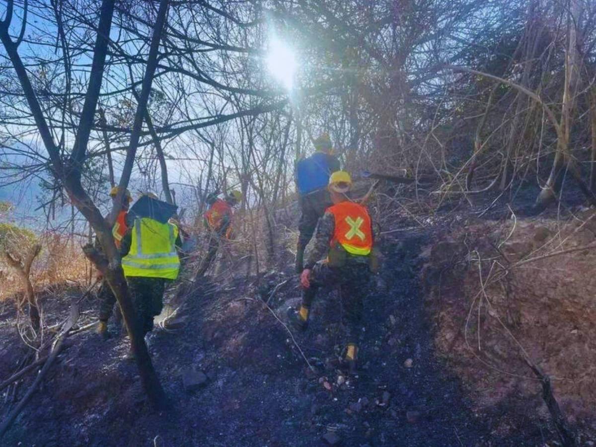Siete días de fuego: 80 hectáreas de bosque fueron arrasadas en el sur de Lempira