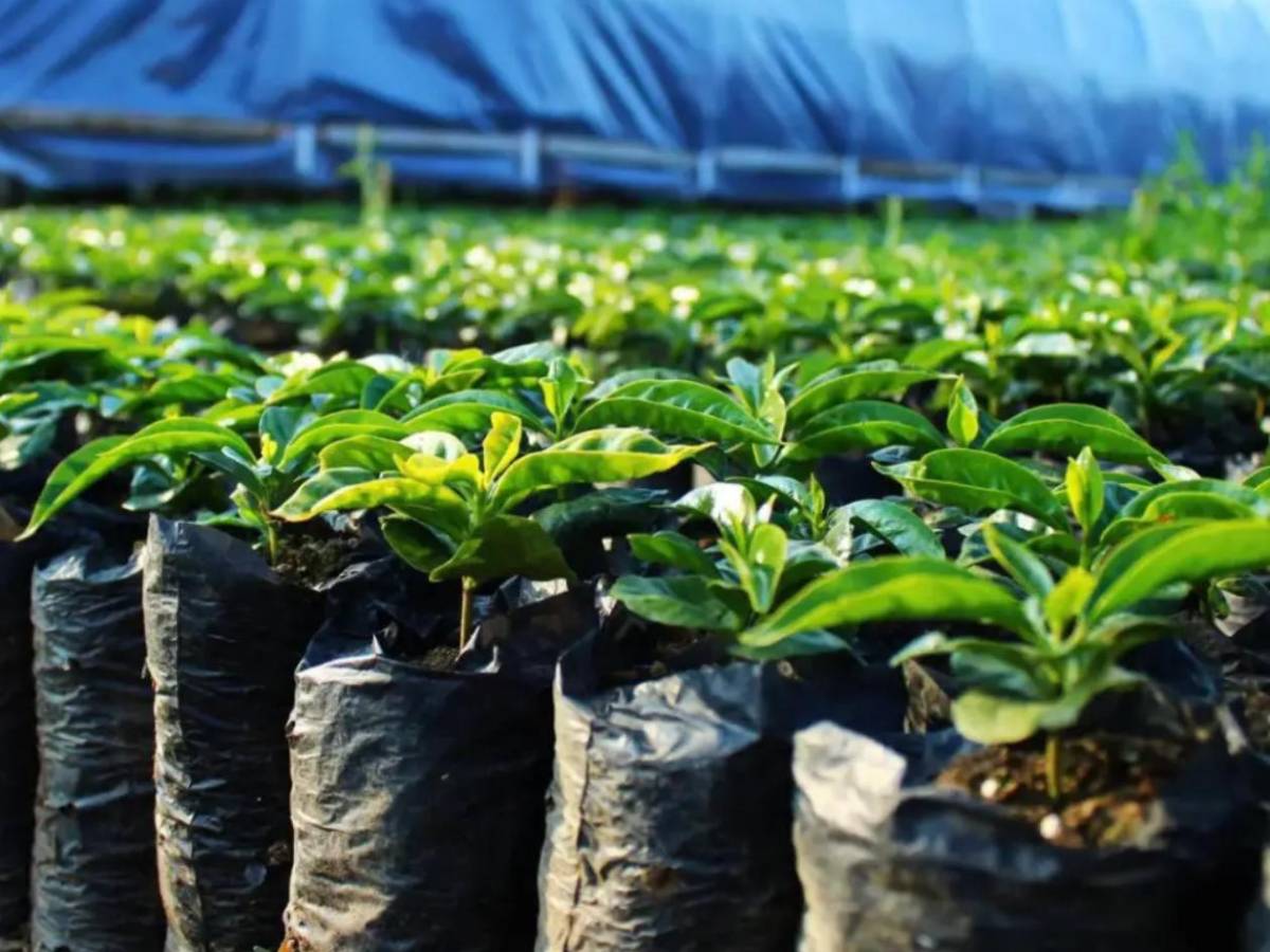 Ter Stegen y Falcao se unen para invertir con peculiar negocio en Honduras