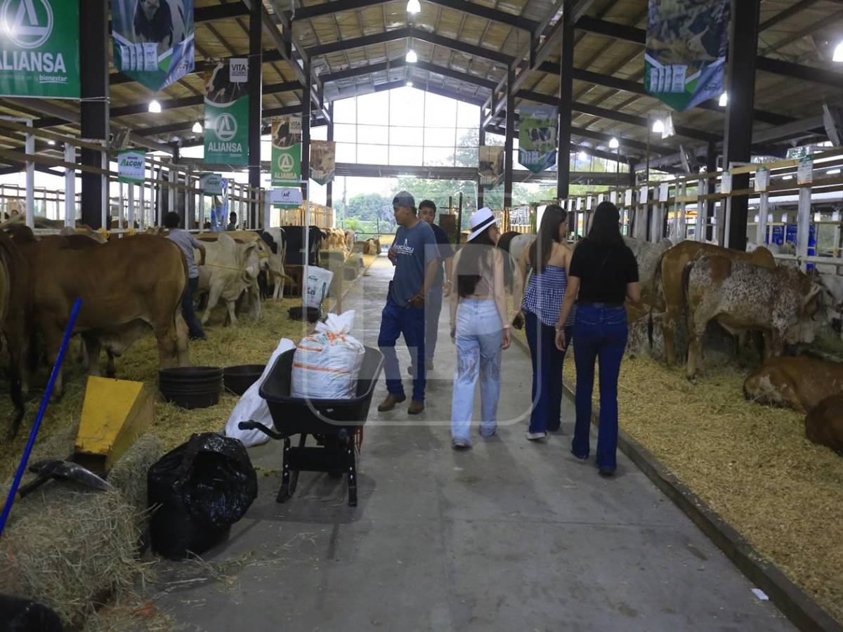 Así iniciaron la Expojuniana y el Agas en San Pedro Sula