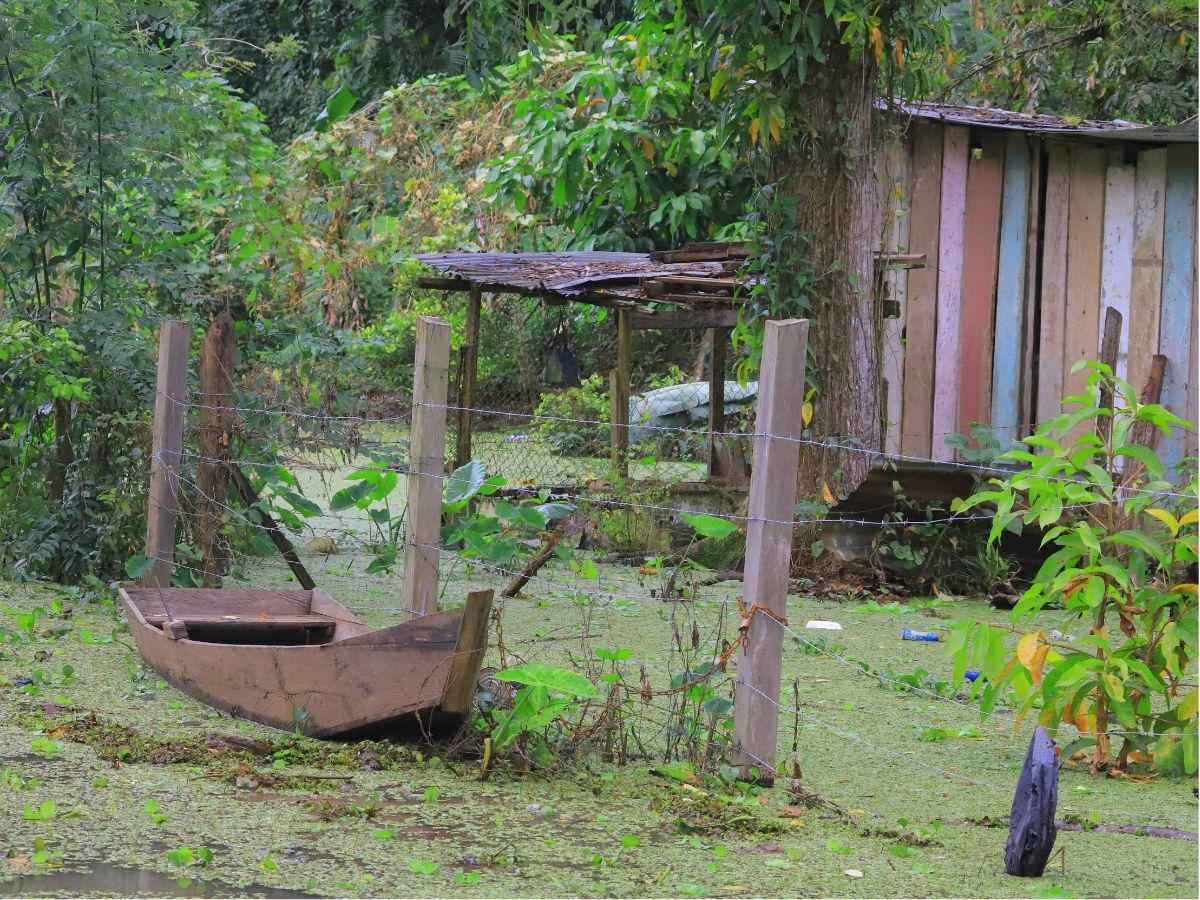 Impactos y afectaciones tras la recuperación del único lago en Honduras