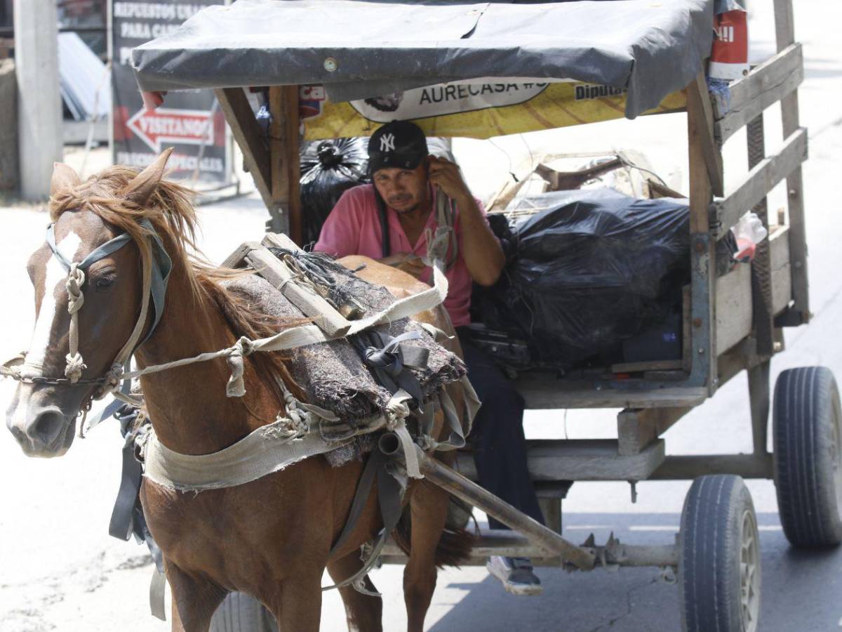 No espere a tener sed: El error diario que podría causarle un golpe de calor