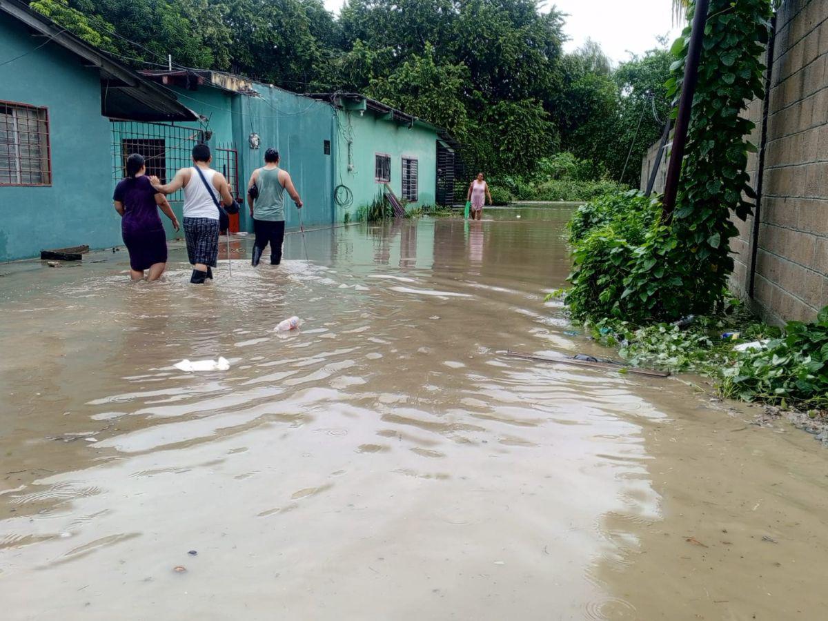 Lluvias causan daños en colonias bajas de San Pedro Sula