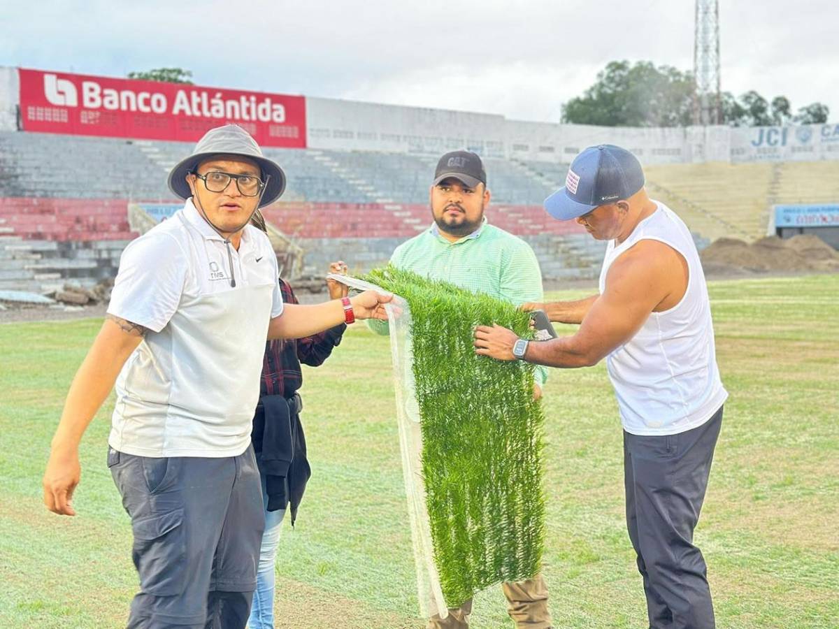 En fotos: los nuevos avances de la nueva grama híbrida del estadio Ceibeño