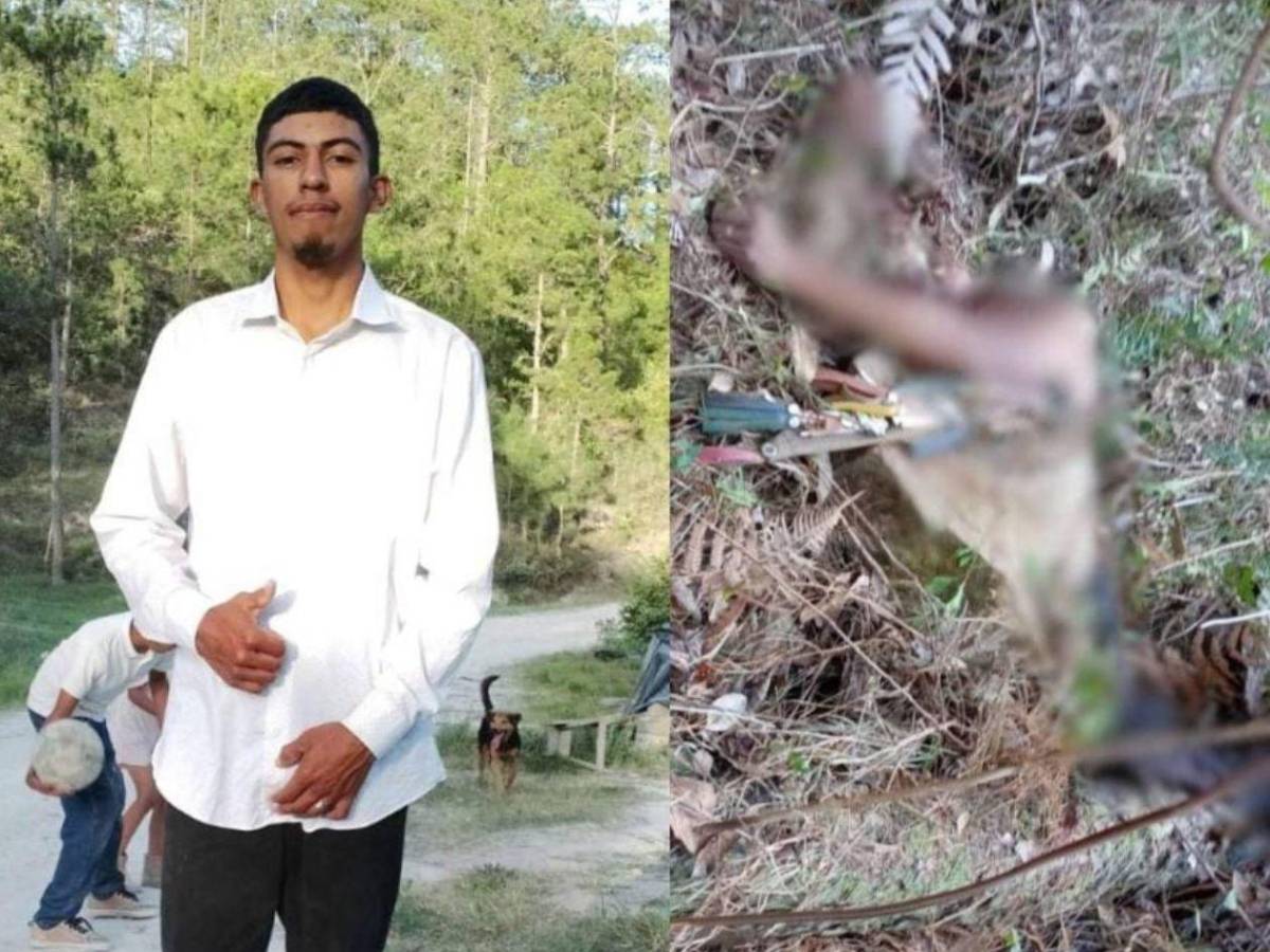 Ambientalista e hijo habrían sido desmembrados con la misma motosierra que usaban taladores