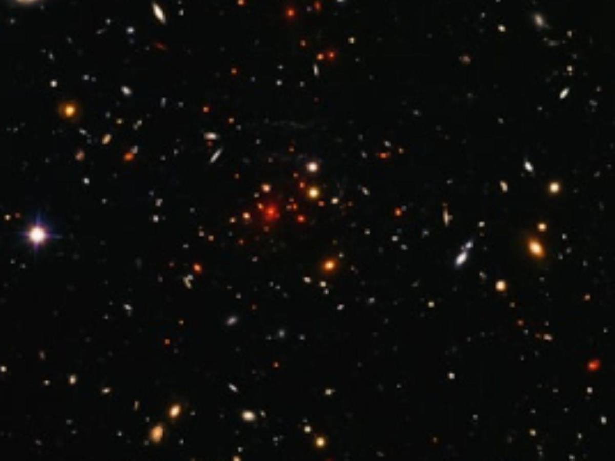 Una estrella misteriosa desconcierta a científicos: esto es lo que han descubierto