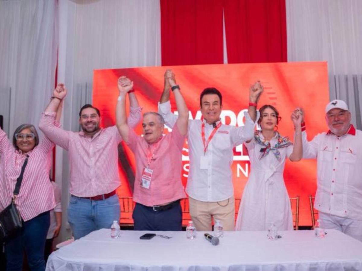 La propuesta de Roberto Contreras para reemplazar a Ana Paola Hall en el CNE