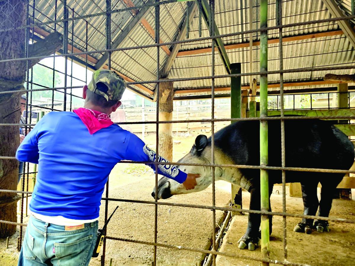 Definen el futuro del zoológico Joya Grande
