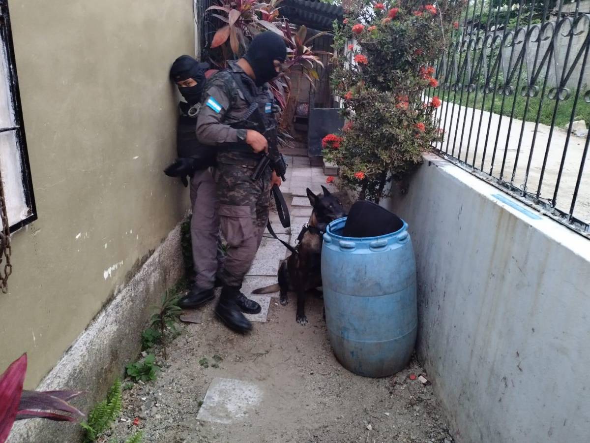 El operativo incluyó a perros detectores de drogas.