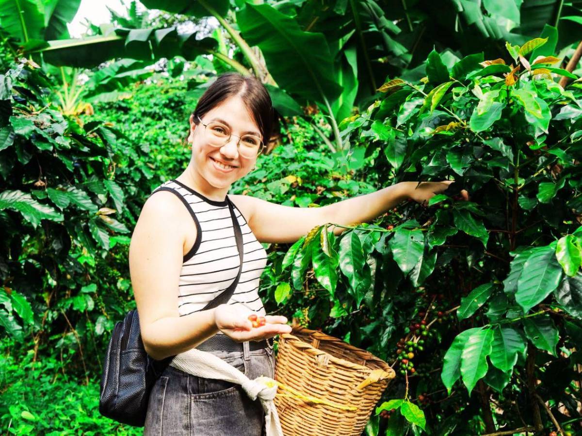 ​Santa Rosa de Copán: El destino seguro y aromático para esta Semana Santa