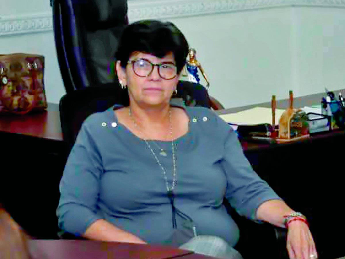 “Dinaf solicitará reformar la ley para agilizar adopciones”