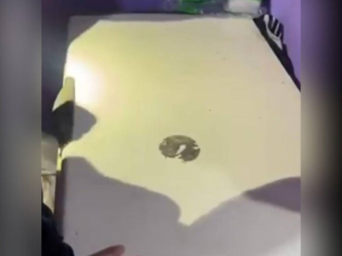 Ayúdeme, oficial: Policía encuentra a ladrón escondido en un congelador