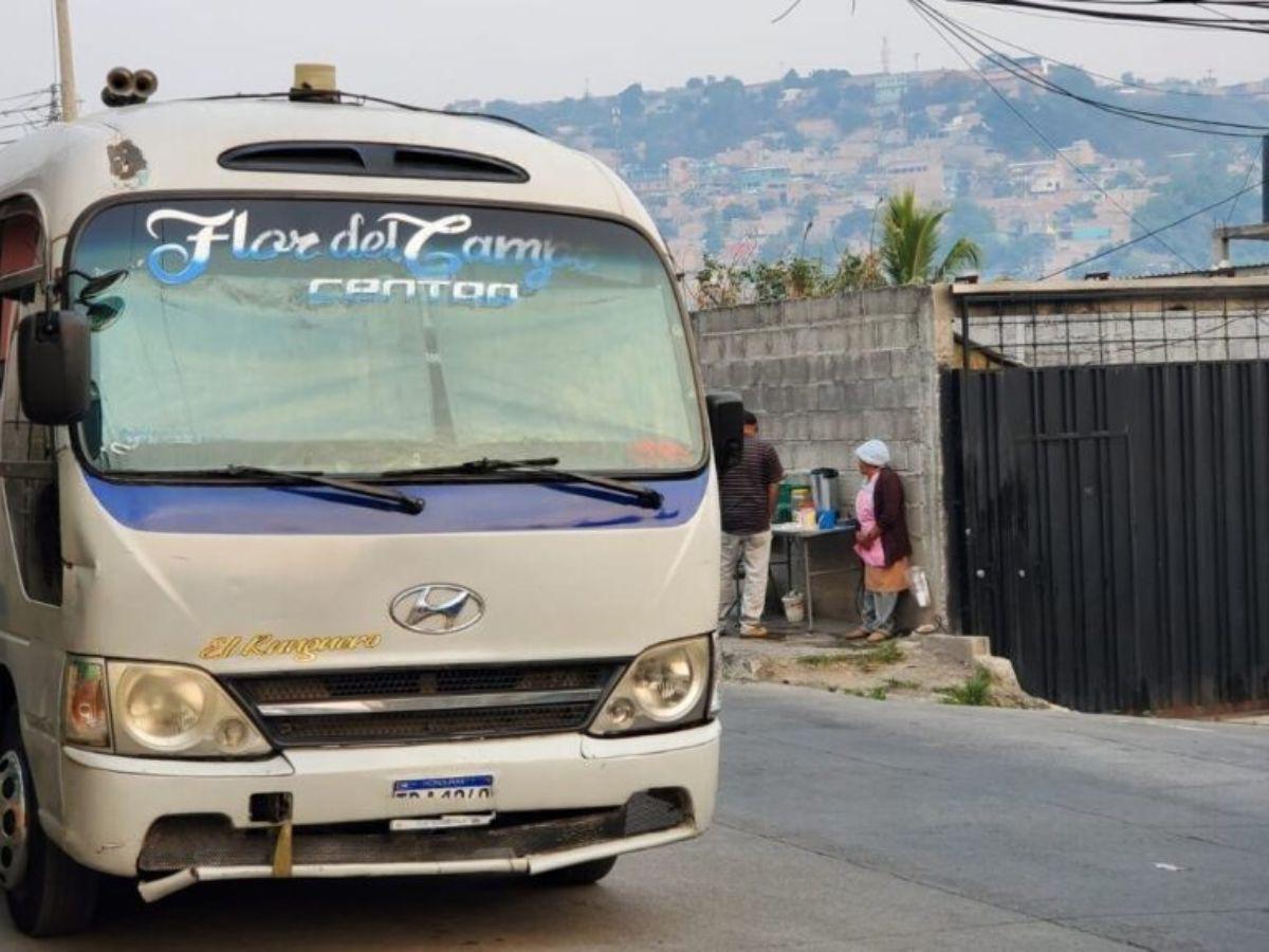 Surge macabra hipótesis sobre asesinato de la estudiante Merary Tomé