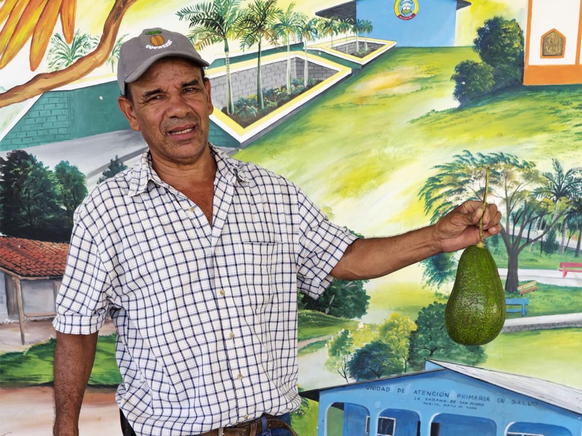 Productores locales reciben capacitación técnica para mejorar las prácticas agrícolas en el cultivo de aguacate.
