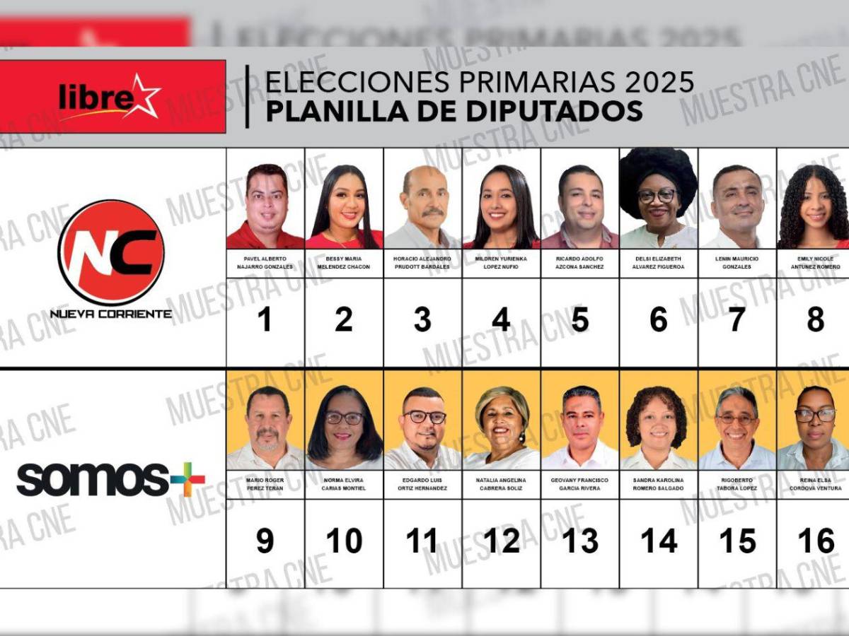 Siete diputados de Atlántida buscan la reelección