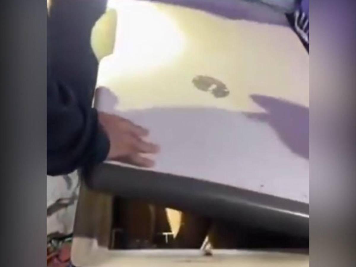 Ayúdeme, oficial: Policía encuentra a ladrón escondido en un congelador