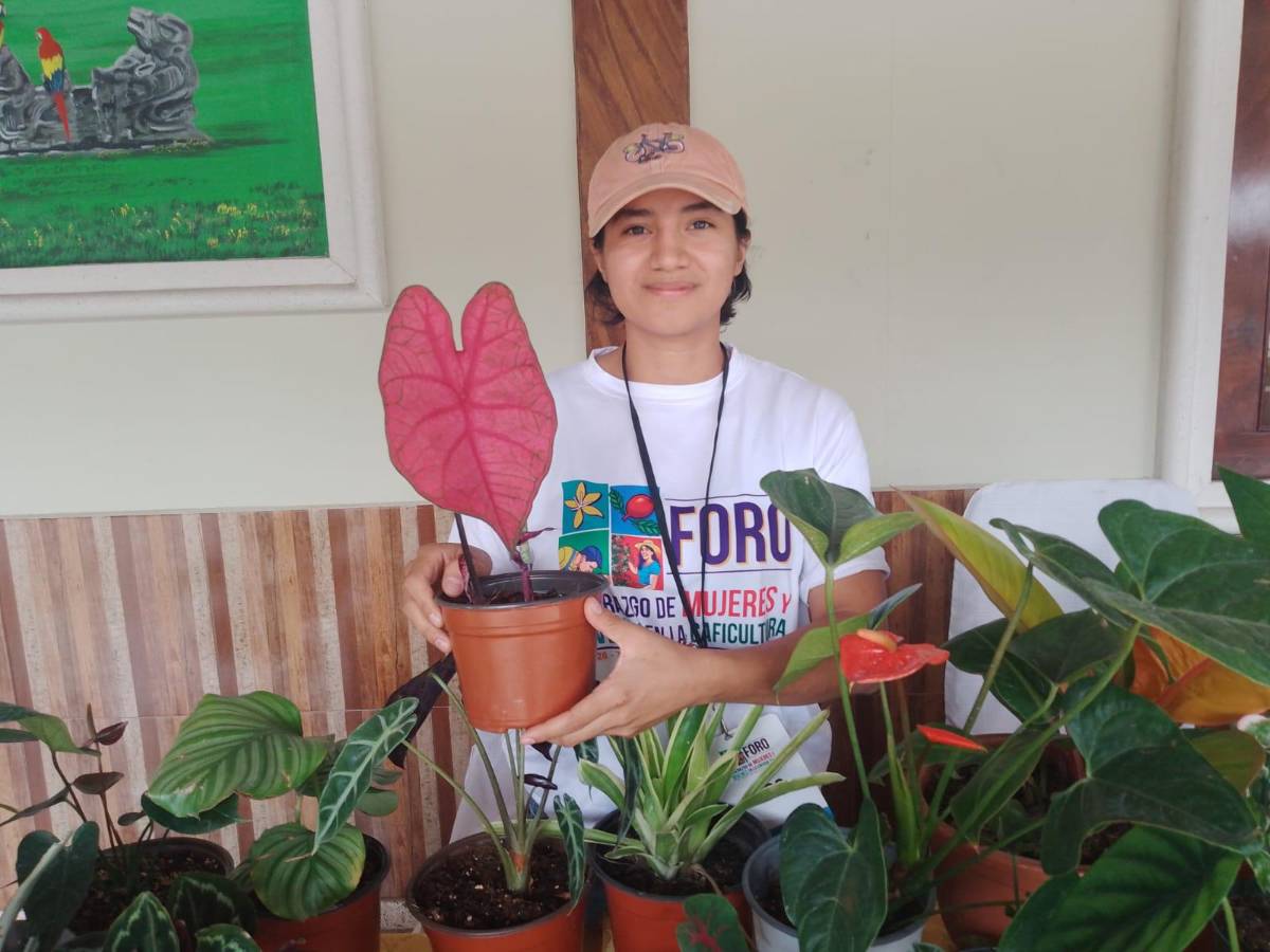 La joven Julia Trejo con su emprendimiento “Anturios Siguatepeque” ofrece una variedad de anturios y cactus, así como la producción de miel de abeja.