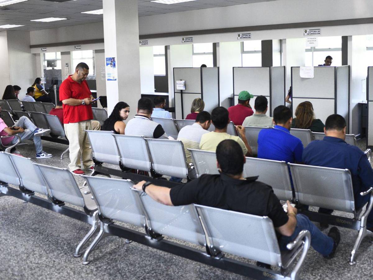 Renovar licencia de conducir en línea: así puede hacerlo paso a paso