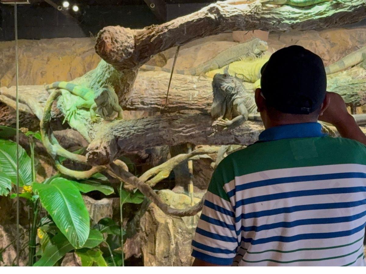 Crece la oferta turística en Tela previo a Semana Santa